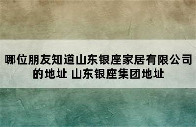 哪位朋友知道山东银座家居有限公司的地址 山东银座集团地址